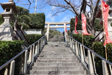 兵庫県の代表的な縁結び・恋愛成就の神社8社