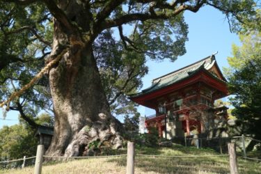熊本県の代表的な縁結び・恋愛成就の神社7社