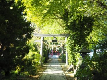 埼玉県の代表的な縁結び・恋愛成就の神社10社